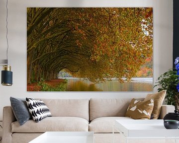 Herbst am Baldeneysee von Henk Meijer Photography