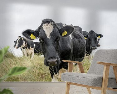 Raumvorschau
