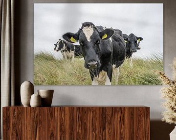 Terschelling Boschplaat nature grazers cows by Yvonne van Driel