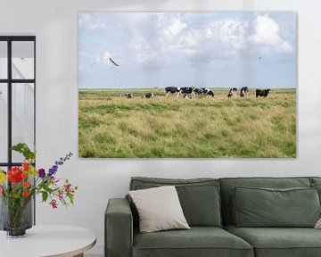 Terschelling Boschplaat Natur Weidevieh Kühe