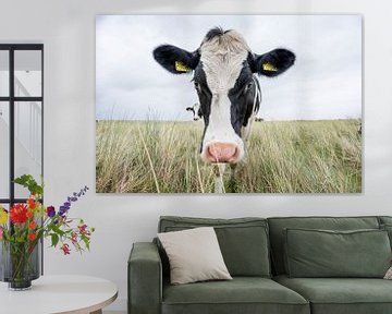Terschelling Boschplaat Natur Weidevieh Kühe
