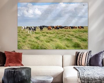 Cow collection at Boschplaat Terschelling nature reserve by Yvonne van Driel
