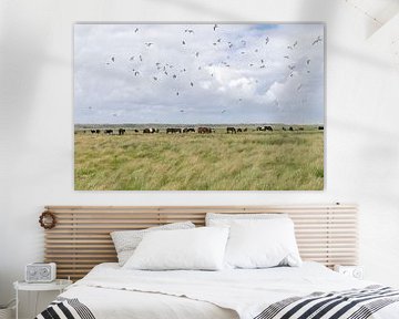 Koeien, paarden en vogels in natuurgeboed de Boschplaat Terschelling van Yvonne van Driel
