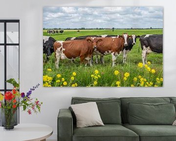 curieuses vaches rouges et blanches avec des fleurs jaunes au bord de la route