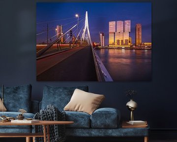The Rotterdam and the Erasmus Bridge by Ronne Vinkx