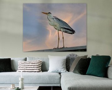 Heron, heron, in the evening sun by Marco van Beek