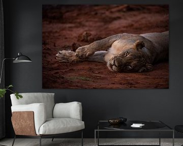 Südafrikanische Löwin von Jorick van Gorp