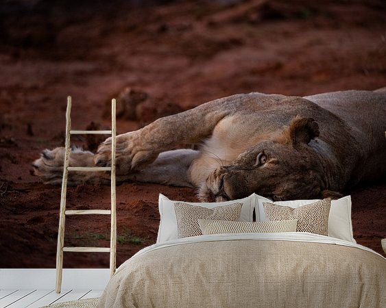 Aperçu de la chambre