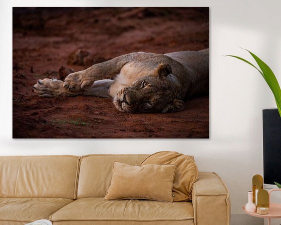 Aperçu de la chambre