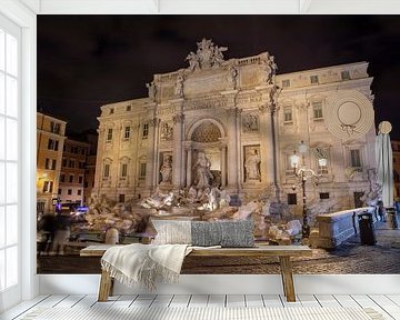 Rome - Fontana di Trevi (Trevifontein) van t.ART