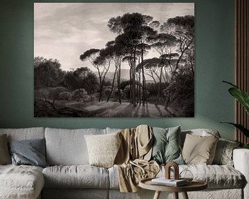 Italian landscape with umbrella pines, Hendrik Voogd | Warm black and white by Kjubik