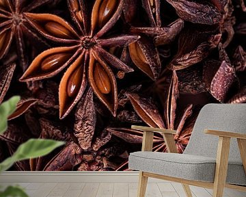 A little warmth in the house: Square star anise by Marjolijn van den Berg