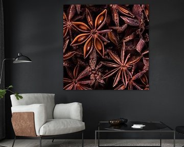 A little warmth in the house: Square star anise by Marjolijn van den Berg