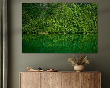 Groene rotswand weerspiegeld in helder water in Noorwegen van Stefan Dinse