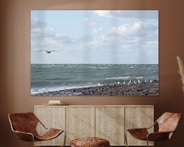 Seagulls / North Sea by Photography art by Sacha