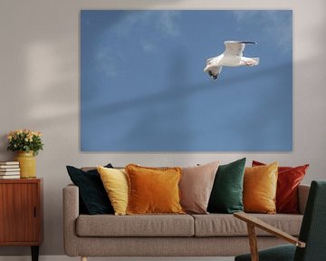 Zeemeeuw in vogelvlucht van Photography art by Sacha