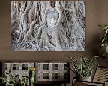 Kreis des Lebens - Buddha-Baum Thailand von Tessa Jol Photography