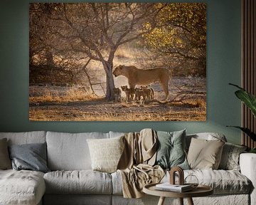 Löwin mit sehr jungen Welpen in Namibia von Simone Janssen