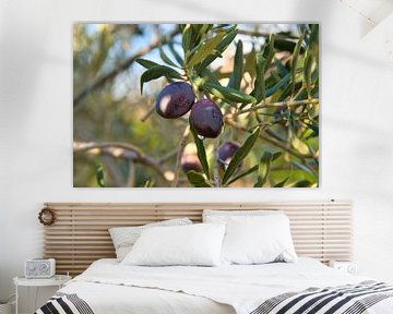 Les olives en Provence sur Tanja Voigt