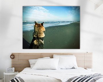 German Shepperd on the beach von Toekie -Art