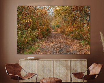 Herbst in Someren-Heide von arie oversier