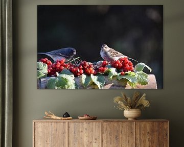 Vögel am Gartenfutterhäuschen von Claude Laprise