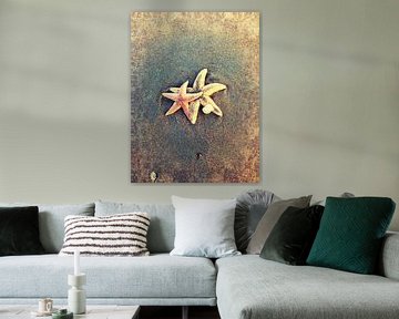 Seastar at the beach sur Toekie -Art