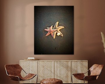 Seastar at the beach sur Toekie -Art