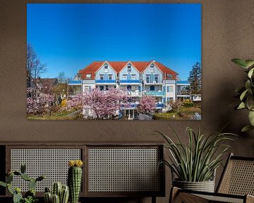 House and blossoming trees in Zingst on the Fischland-Darß