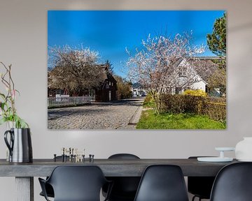 Street and houses in Zingst on the Fischland-Darß by Rico Ködder