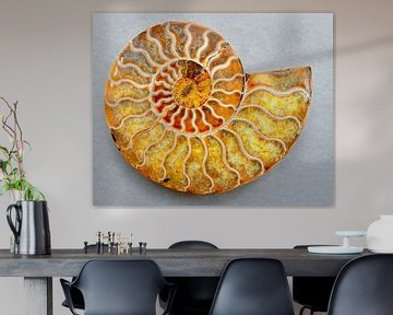 'I'm an Ammonite' by Tymn Lintell