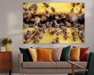 Bees at work by Bob Janssen