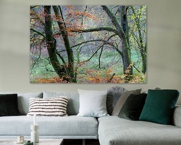 Promenade dans les bois