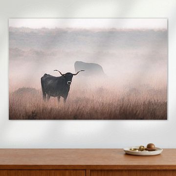 Planken Wambuis Teil 95