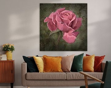 roze roos van Dieter Beselt