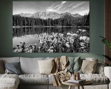 Schöner Bergsee in den Dolomiten mit blühenden Alpenblumen in schwarzweiß von Manfred Voss, Schwarz-weiss Fotografie