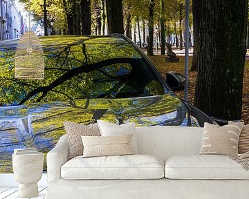 Vroege herfst op het Lange Voorhout in Den Haag