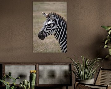 Close up van een zebra. van Alexandre Tziripouloff