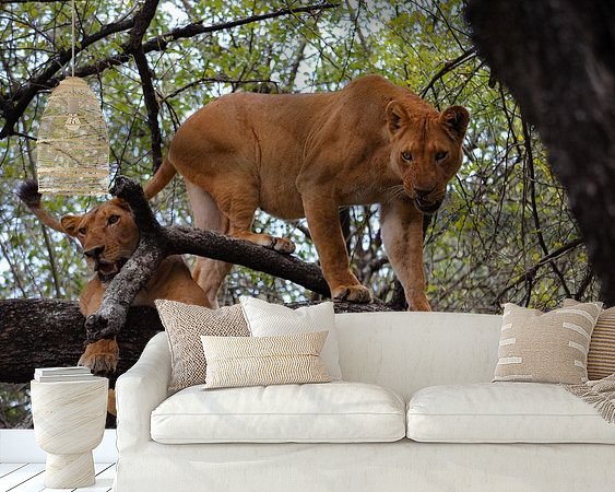 Aperçu de la chambre