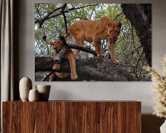 Aperçu de la chambre