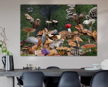 Illustratie van vele paddenstoelen met een boom als achtergrond begroeid met mos van W J Kok