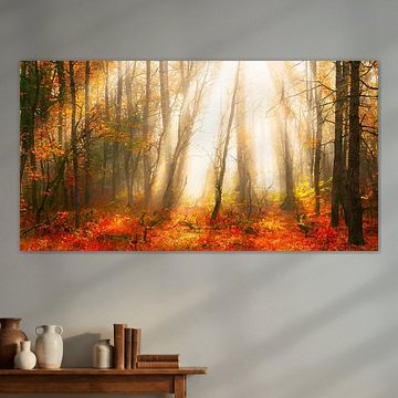 Herfstbos met zonnestralen