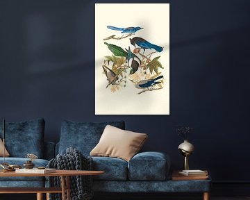 Vogels in diverse kleuren bekijken elkaar