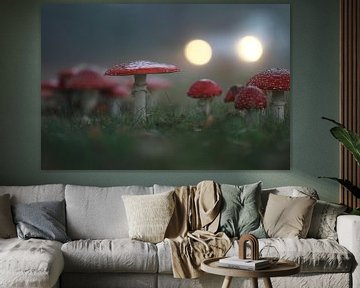 Fly agaric in verge in Hoogeveen by Ronald Wilfred Jansen