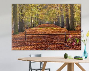 Herbst im Wald von Henk Meijer Photography