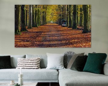 Herbst im Wald von Henk Meijer Photography