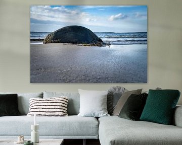 Stenen strand in Denemarken aan zee van Martin Köbsch