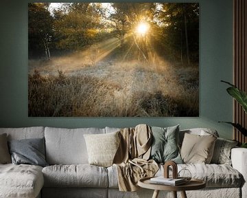 Zonnestralen door de bomen van Jan Eltink