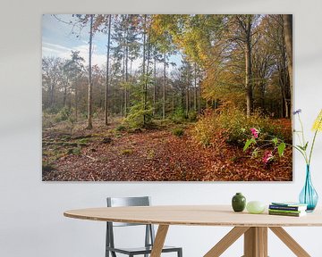 Herfstsfeer in het Amerongse Bos van Jan de Jong