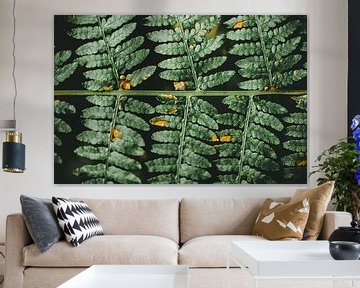 Fern leaf by Jan Eltink